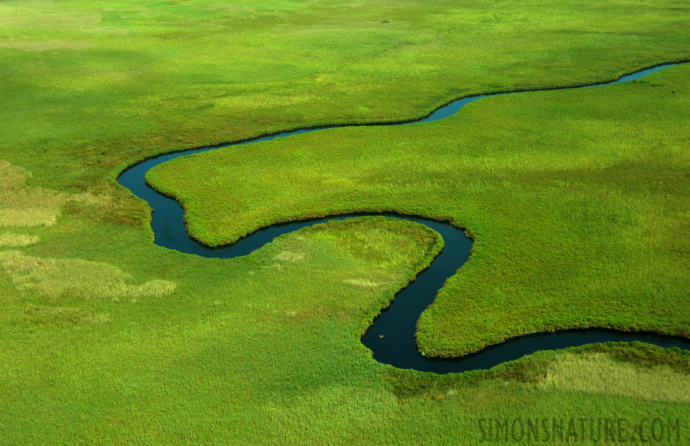 Okavango Delta Mai 2014 [65 mm, 1/3200 Sek. bei f / 8.0, ISO 2500]